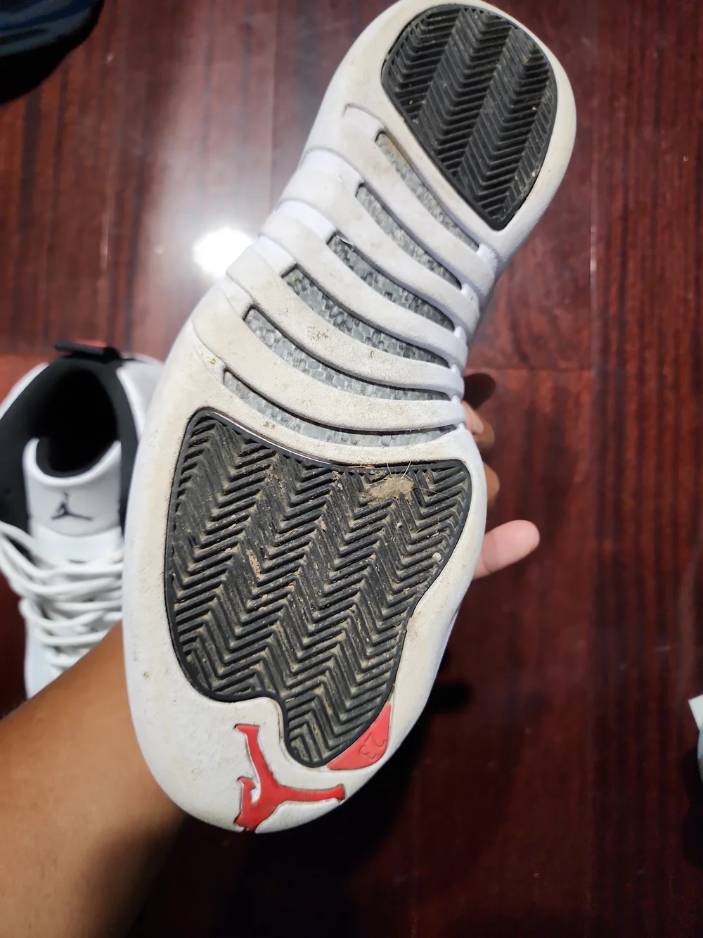Nike Air Jordan 12 Retro Twist Size 10.5